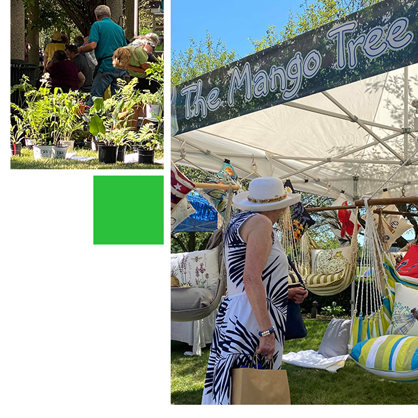 artgardenpic2025-1.jpeg